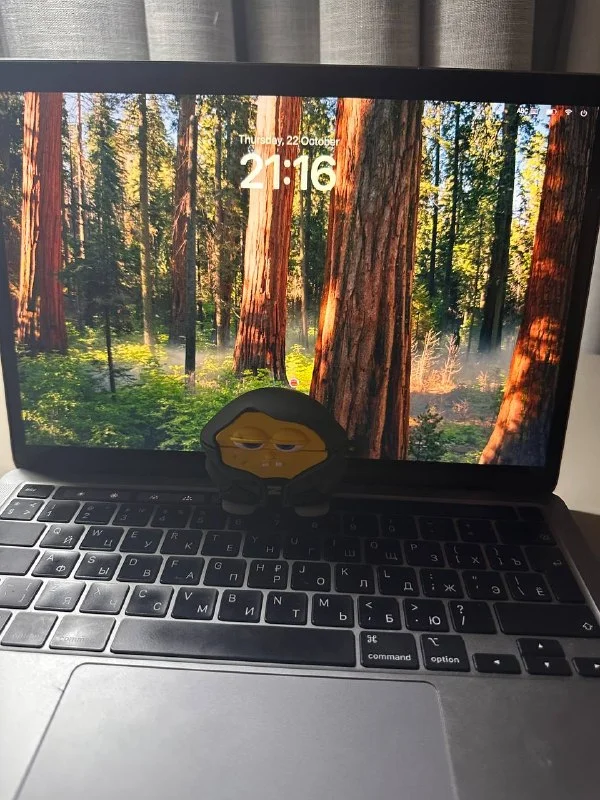 MacBook