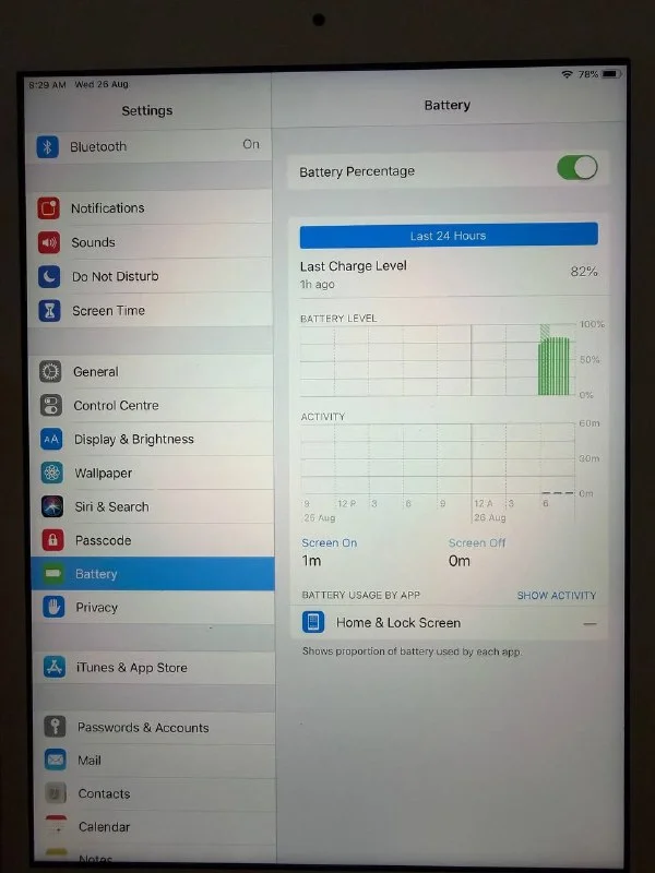 iPad mini 2
